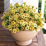 Artificial Flowers for Outdoor Indoor Garden Home Decoration, Faux Flower Daisy with Eucalyptus Leaves Fake Plants Greenery Boxwood Porch Patio, 12 Bundles (Mix Pink Red Purple Yellow)