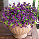 Artificial Flowers for Outdoor Indoor Garden Home Decoration, Faux Flower Daisy with Eucalyptus Leaves Fake Plants Greenery Boxwood Porch Patio, 12 Bundles (Mix Pink Red Purple Yellow)