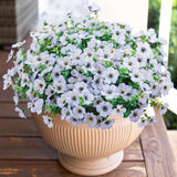 Artificial Flowers for Outdoor Indoor Garden Home Decoration, Faux Flower Daisy with Eucalyptus Leaves Fake Plants Greenery Boxwood Porch Patio, 12 Bundles (Mix Pink Red Purple Yellow)